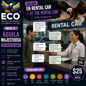 Rental Car