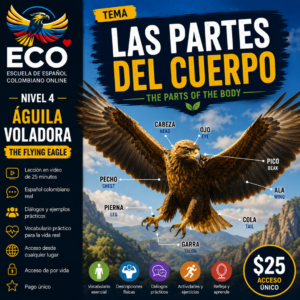 Las partes del Cuerpo